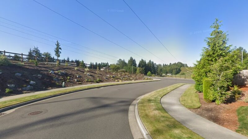 Dog Park - Puyallup, WA
