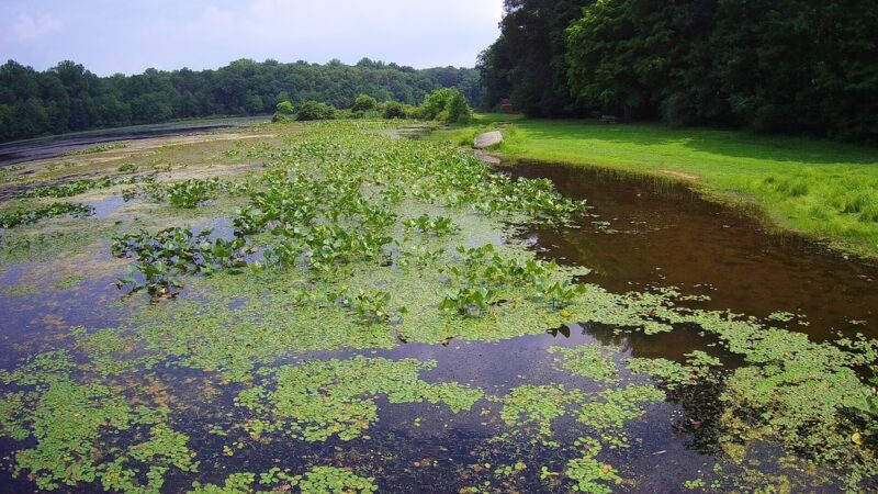 Lake Towhee Park - Quakertown, PA