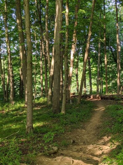 Lake Towhee Park - Quakertown, PA