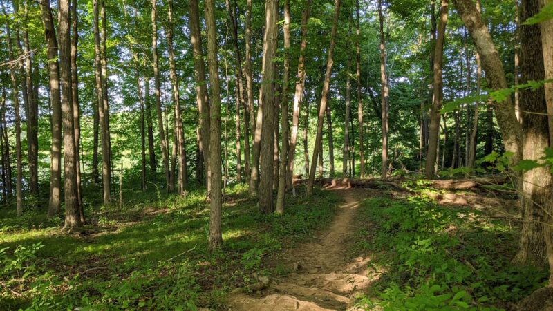 Lake Towhee Park - Quakertown, PA