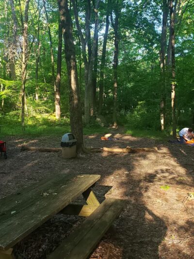 Lake Towhee Park - Quakertown, PA