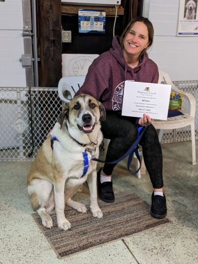 Molasses Creek Dog Training, LLC - Quakertown, PA