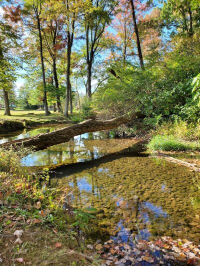 Molasses Creek Park - Quakertown, PA