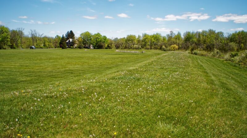 Morgan Creek Park - Quakertown, PA