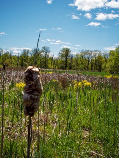 Morgan Creek Park - Quakertown, PA