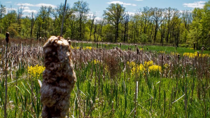 Morgan Creek Park - Quakertown, PA