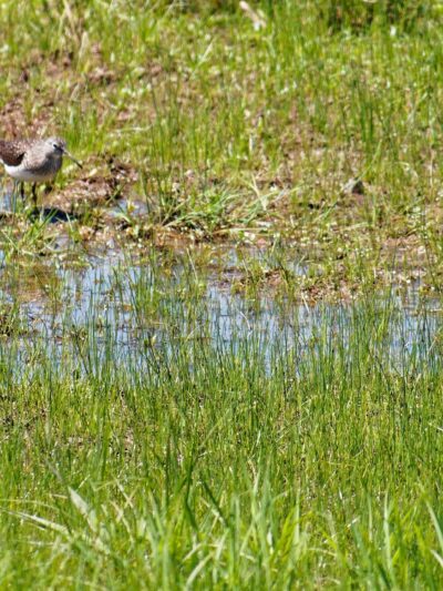 Morgan Creek Park - Quakertown, PA