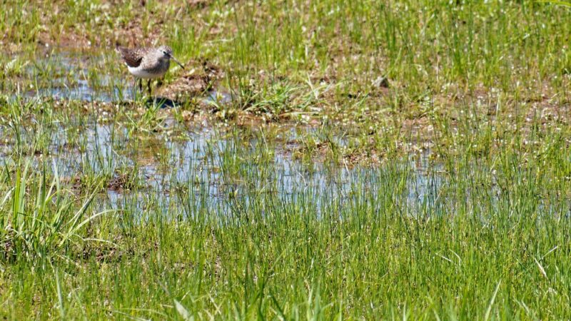 Morgan Creek Park - Quakertown, PA