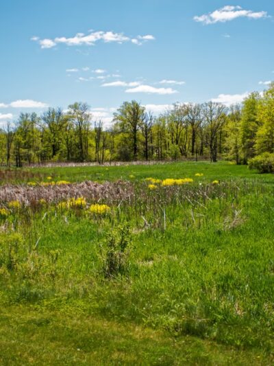 Morgan Creek Park - Quakertown, PA