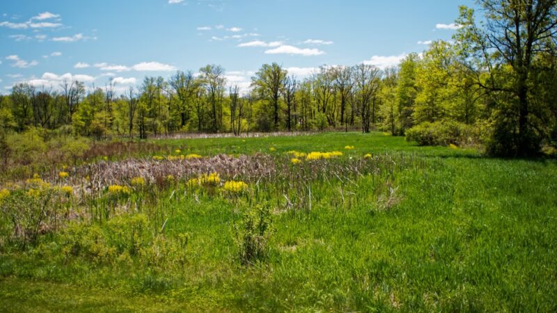 Morgan Creek Park - Quakertown, PA