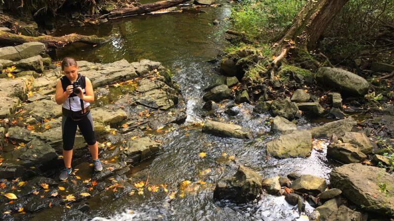 Nockamixon State Park Waterfall - Quakertown, PA