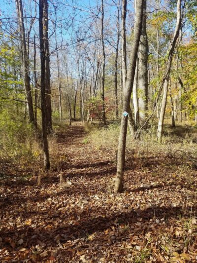 Richland Township rail trail spur - Quakertown, PA