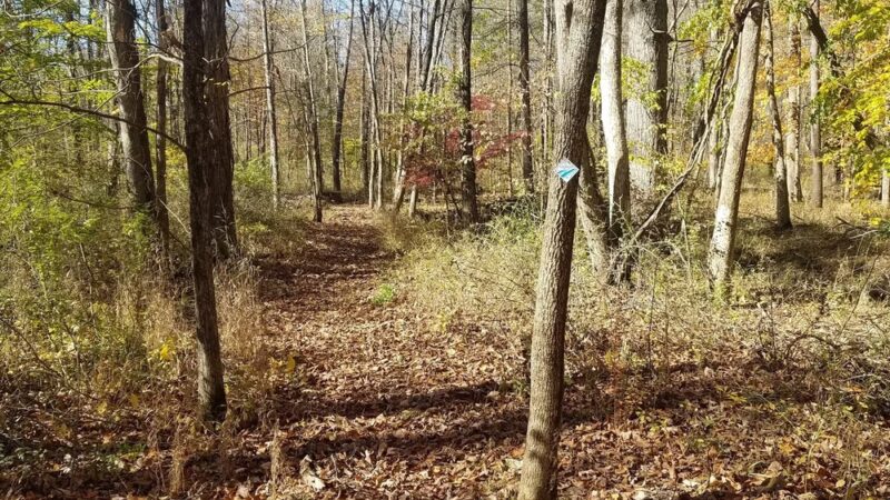 Richland Township rail trail spur - Quakertown, PA