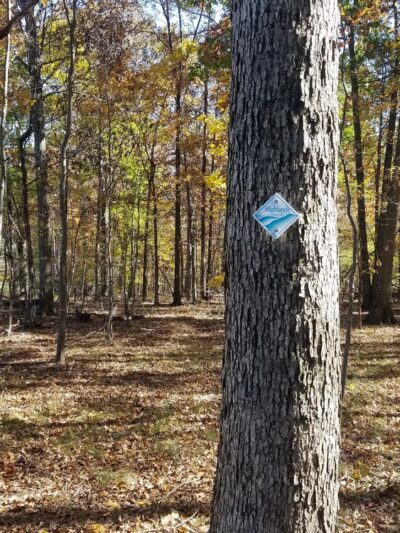 Richland Township rail trail spur - Quakertown, PA