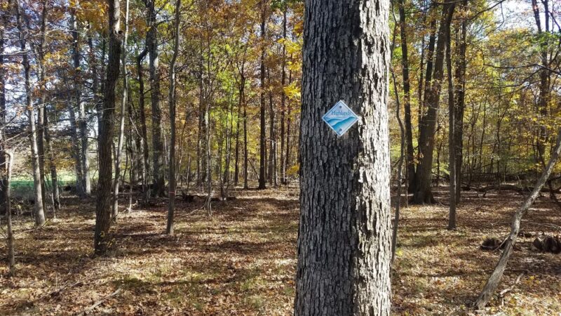 Richland Township rail trail spur - Quakertown, PA