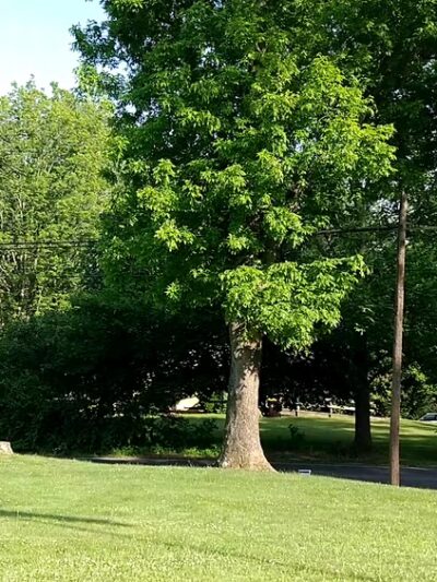 Robert Keller Park - Quakertown, PA