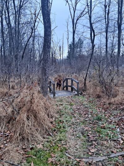 Robert Keller Park - Quakertown, PA