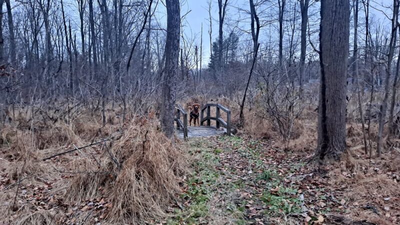 Robert Keller Park - Quakertown, PA