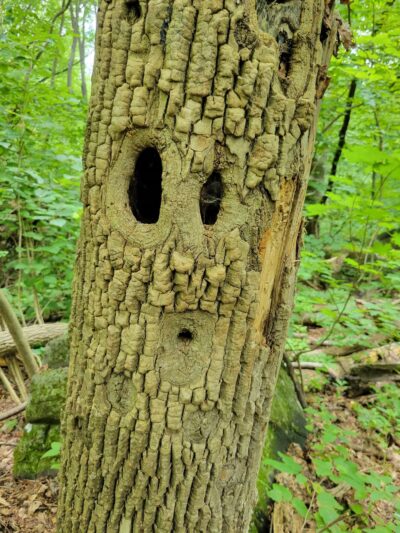 Top Rock Park - Quakertown, PA