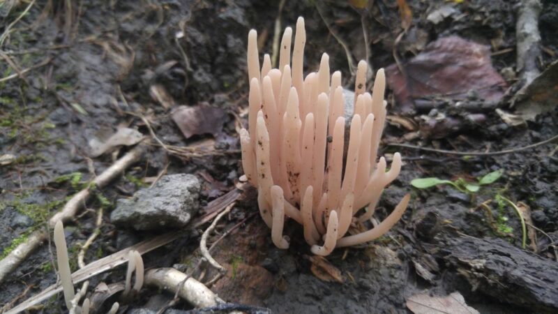 Top Rock Park - Quakertown, PA