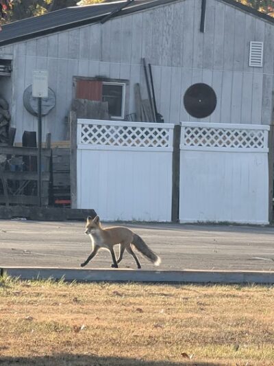Veterans Park Trumbauersville - Quakertown, PA