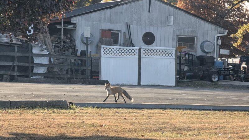 Veterans Park Trumbauersville - Quakertown, PA