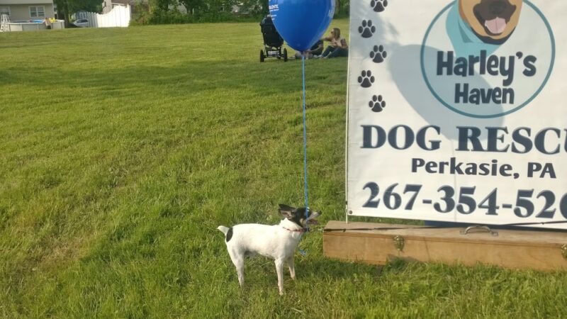 Veterans Park Trumbauersville - Quakertown, PA