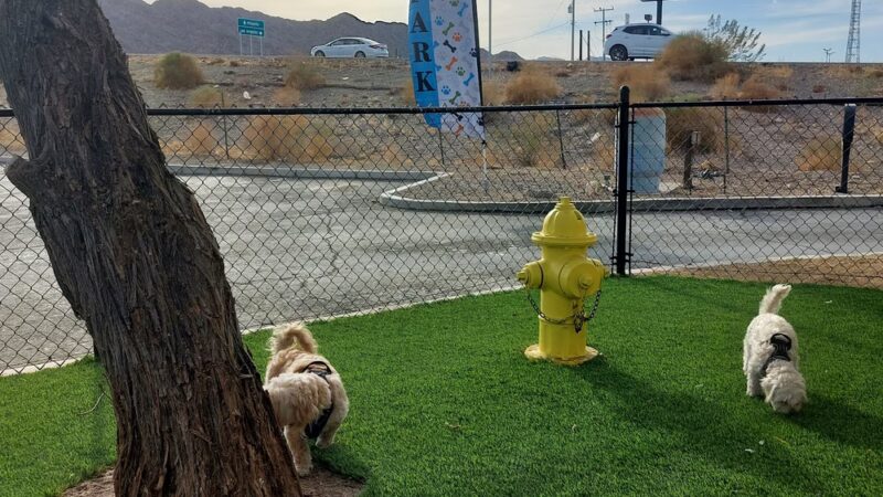 Quartz site dog park - Quartzsite, AZ