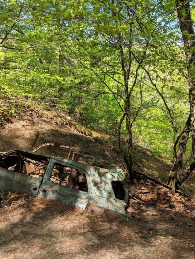 Tuckahoe State Park - Queen Anne, MD