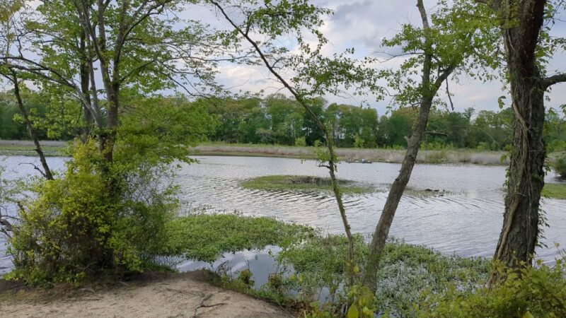 Tuckahoe State Park - Queen Anne, MD