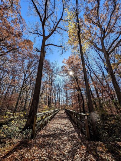 Tuckahoe State Park - Queen Anne, MD