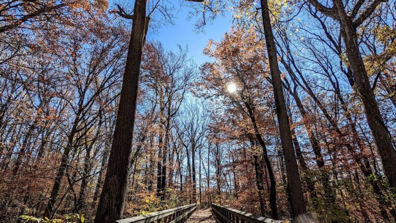 Tuckahoe State Park - Queen Anne, MD