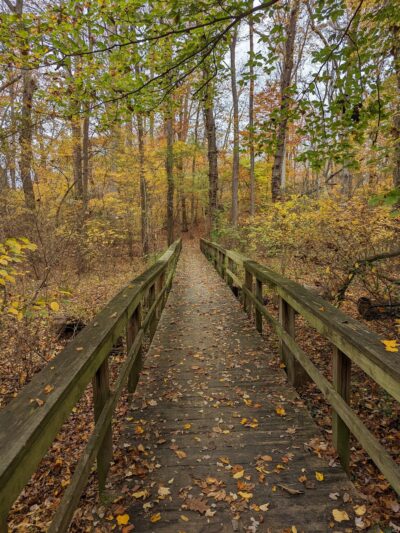 Tuckahoe State Park - Queen Anne, MD