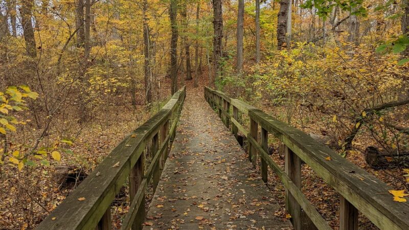 Tuckahoe State Park - Queen Anne, MD