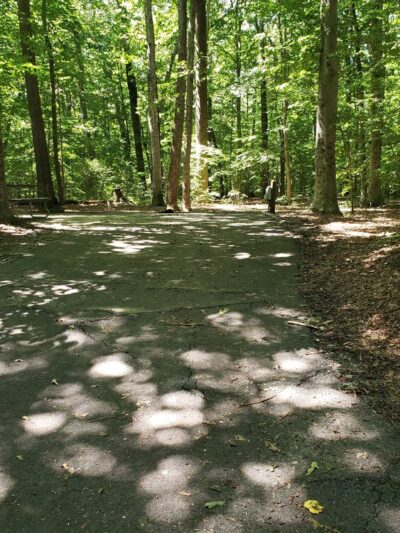 Tuckahoe State Park Campground - Queen Anne, MD