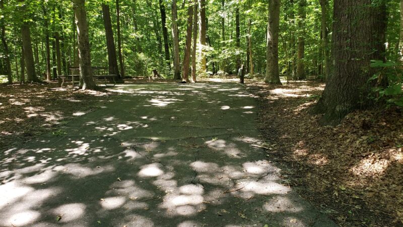 Tuckahoe State Park Campground - Queen Anne, MD