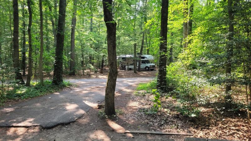 Tuckahoe State Park Campground - Queen Anne, MD