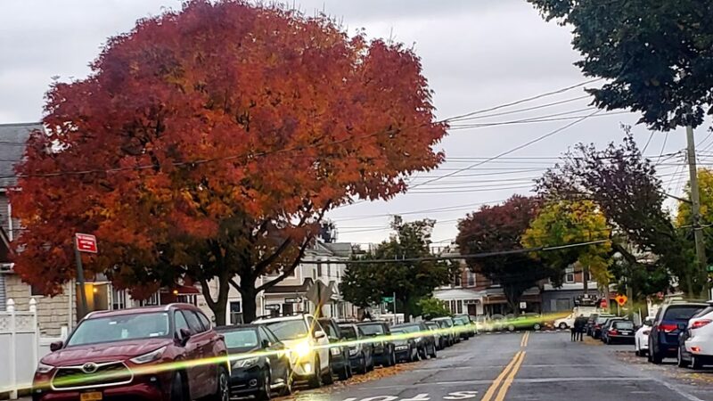 Ozone Park - Queens, NY