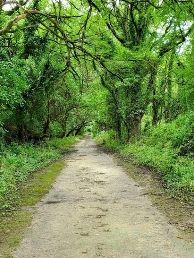 Ferry Point Trail - Queenstown, MD