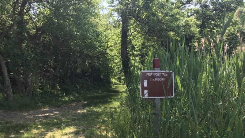 Ferry Point Trail - Queenstown, MD