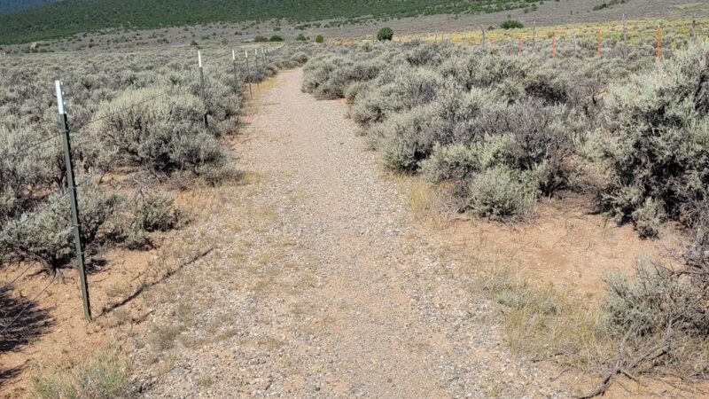 Las Vistas De Questa Trail - Questa, NM