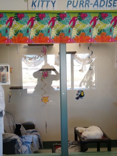 Quincy Animal Shelter - Quincy, WA
