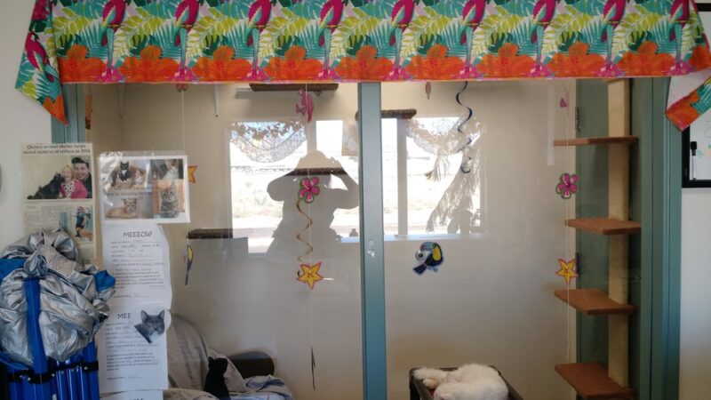 Quincy Animal Shelter - Quincy, WA