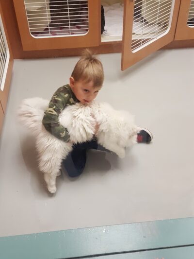Quincy Animal Shelter - Quincy, WA