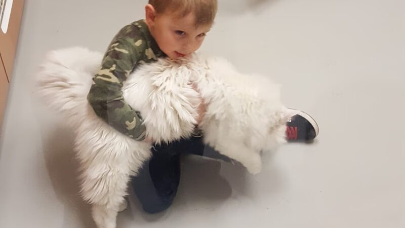 Quincy Animal Shelter - Quincy, WA