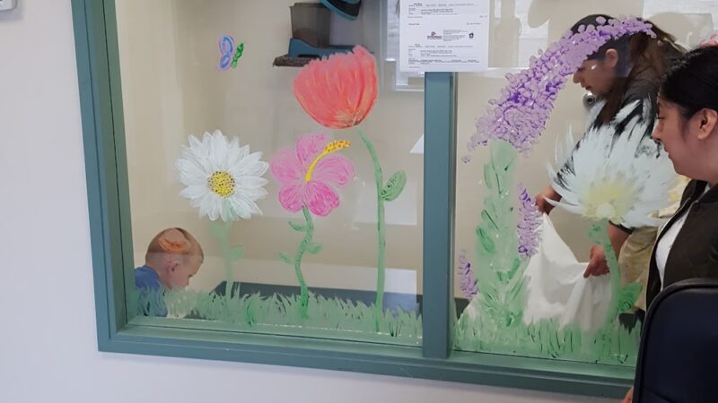 Quincy Animal Shelter - Quincy, WA