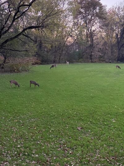 East Coast Greenway - Rahway, NJ