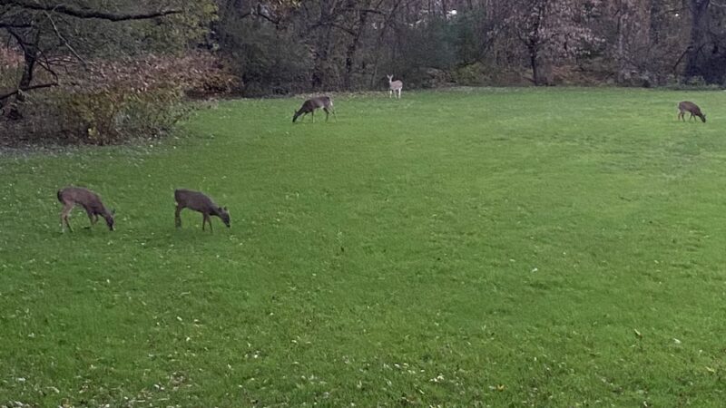 East Coast Greenway - Rahway, NJ