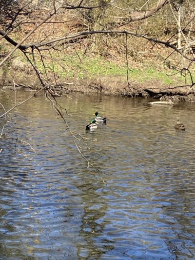 East Coast Greenway - Rahway, NJ