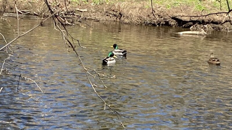 East Coast Greenway - Rahway, NJ